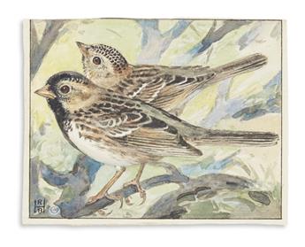(BIRDS.) Horsfall, Robert Bruce. Two miniature ornithological watercolors